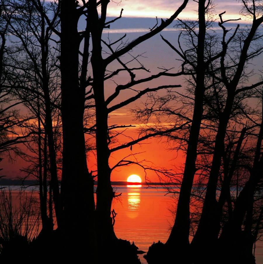 buza stufului.... :) - 9678512563068789512420920109n.jpg